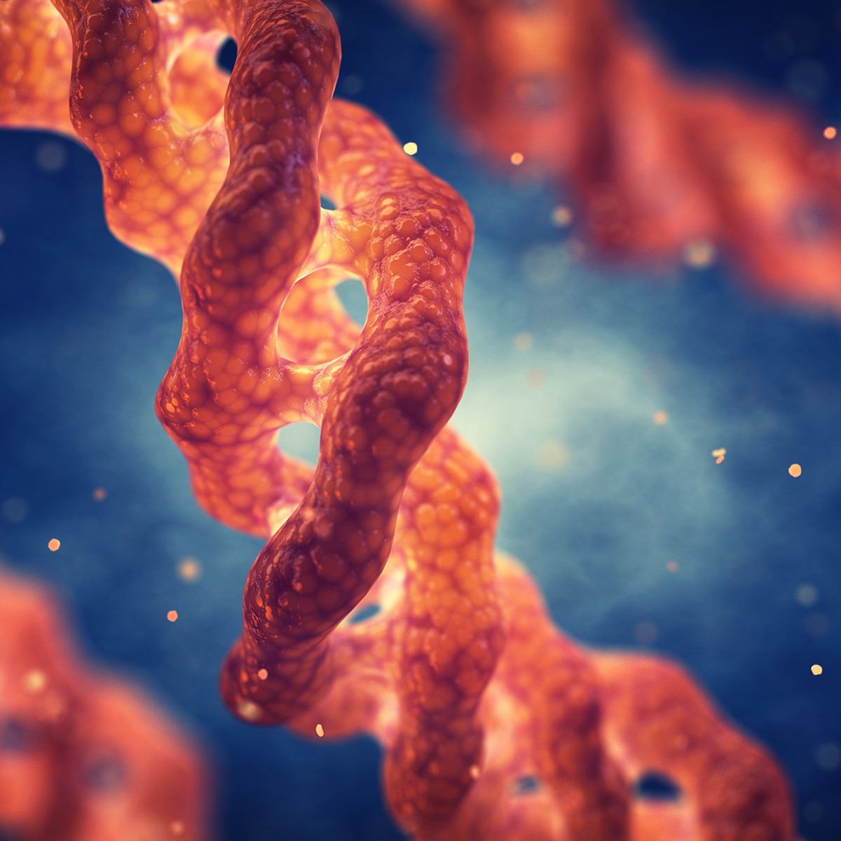 The Science of Collagen: Why Skin Changes as We Age
